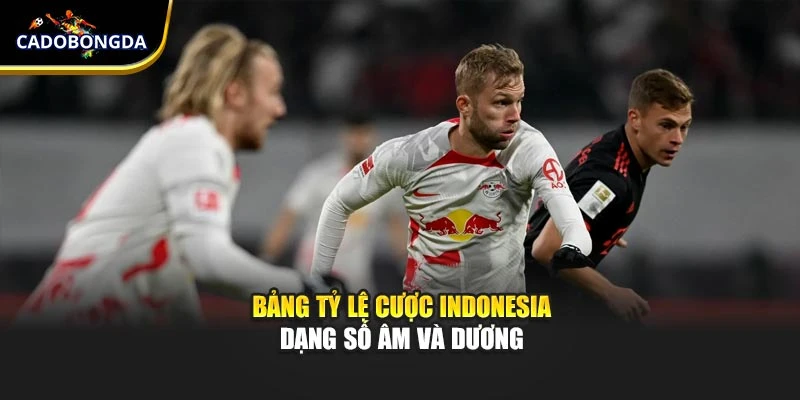 Bảng tỷ lệ cược Indonesia dạng số âm và dương