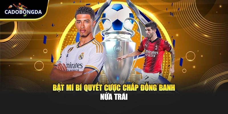 Bật mí bí quyết cược chấp đồng banh nửa trái