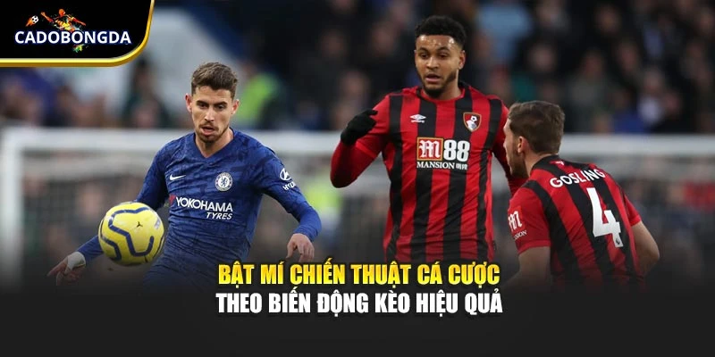 Bật Mí Chiến Thuật Cá Cược Theo Biến Động Kèo Hiệu Quả