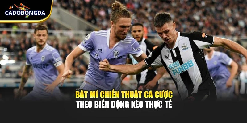 Bật mí chiến thuật cá cược theo biến động kèo thực tế