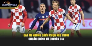 Bật Mí Những Cách Chọn Kèo Thơm Chuẩn Chỉnh Từ Chuyên Gia