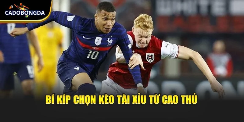 Bí kíp chọn kèo tài xỉu từ cao thủ