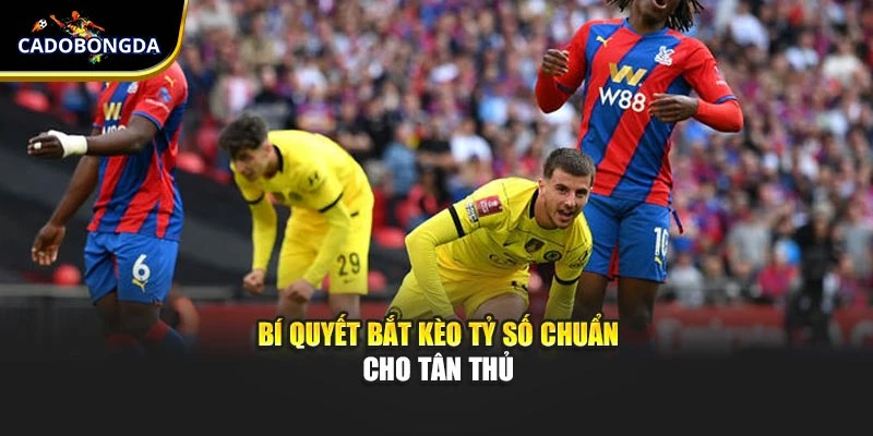 Bí quyết bắt kèo tỷ số chuẩn cho tân thủ