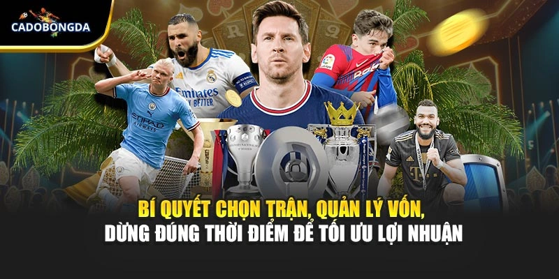 Bí quyết chọn trận, quản lý vốn, dừng đúng thời điểm để tối ưu lợi nhuận