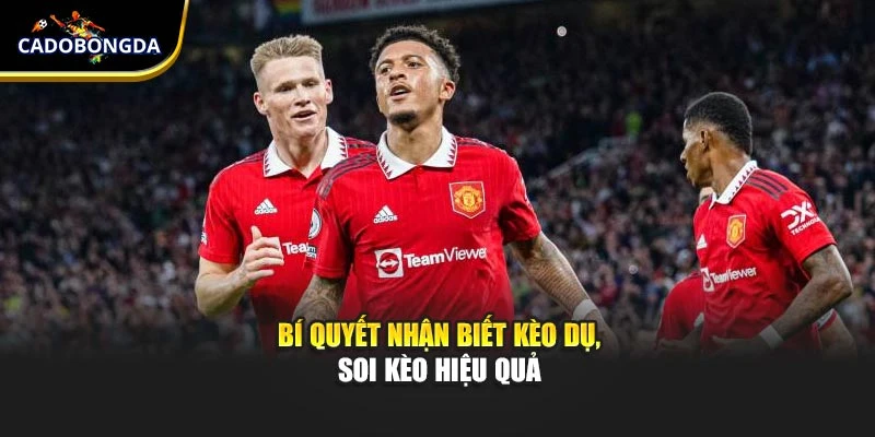 Bí quyết nhận biết kèo dụ, soi kèo hiệu quả