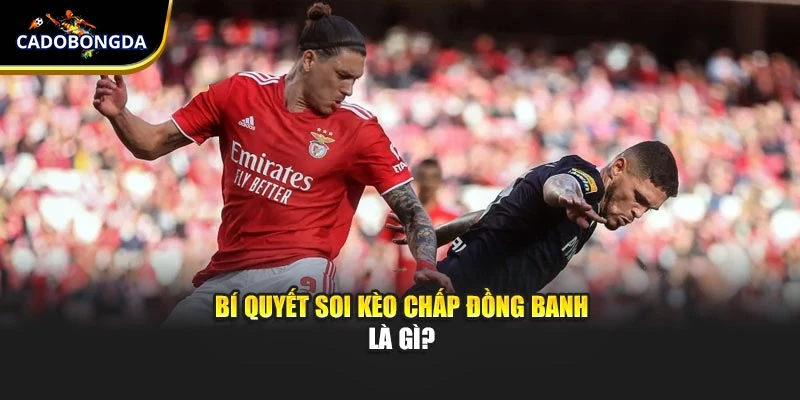 Bí quyết soi kèo chấp đồng banh là gì?