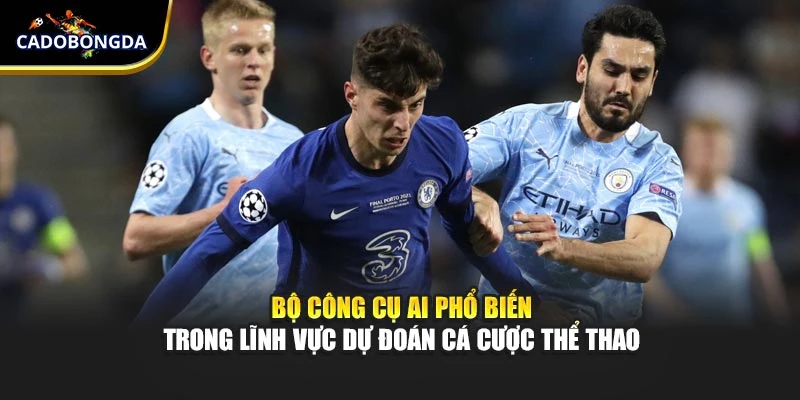 Bộ công cụ AI phổ biến trong lĩnh vực dự đoán cá cược thể thao