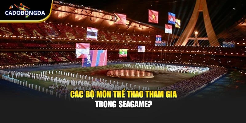 Các bộ môn thể thao tham gia trong Seagame?