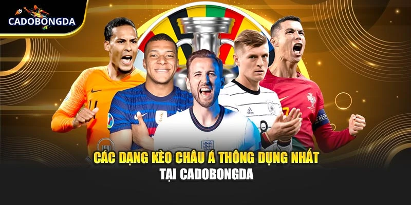 Các dạng kèo châu Á thông dụng nhất tại Cadobongda