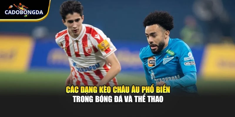                           Các dạng kèo châu Âu phổ biến trong bóng đá và thể thao