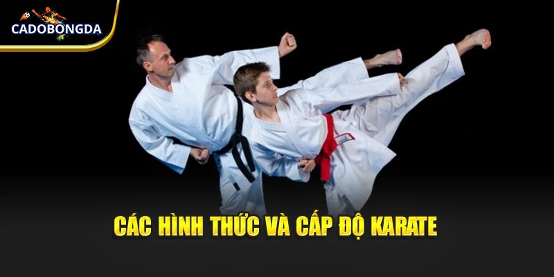 Các hình thức và cấp độ Karate