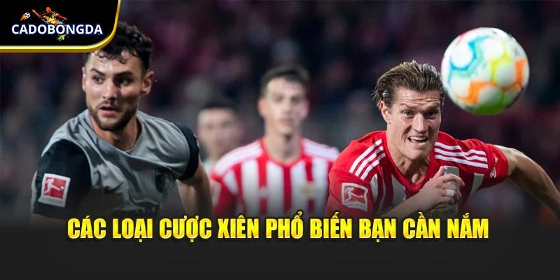 Các loại cược xiên phổ biến bạn cần nắm