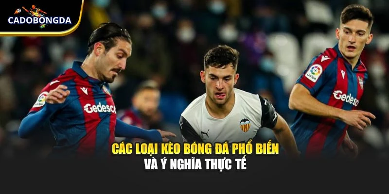 Các loại kèo bóng đá phổ biến và ý nghĩa thực tế