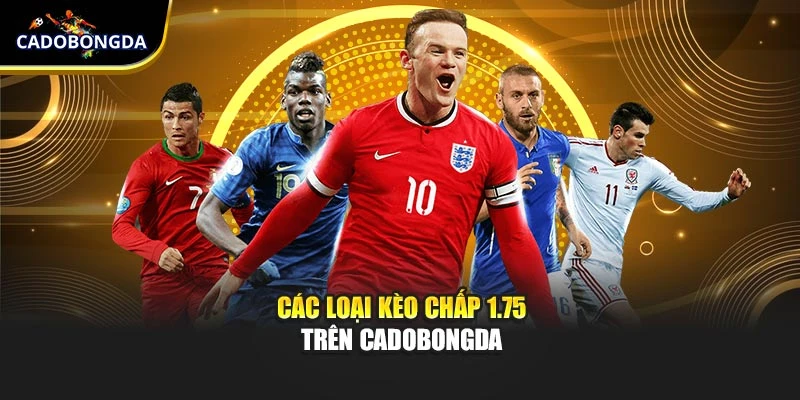 Các loại kèo chấp 1.75 trên Cadobongda