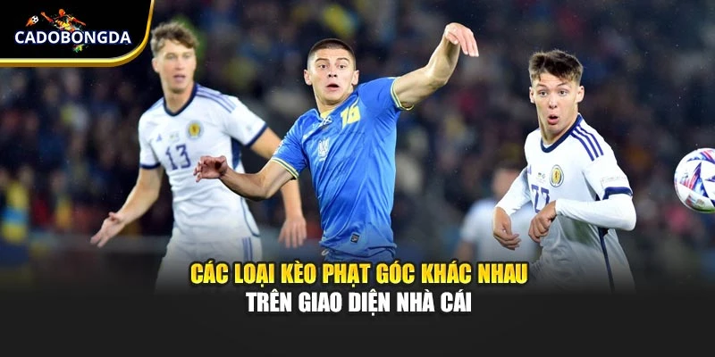 Các loại kèo phạt góc khác nhau trên giao diện nhà cái