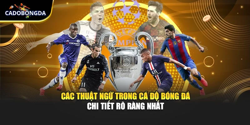 Các Thuật Ngữ Trong Cá Độ Bóng Đá Chi Tiết Rõ Ràng Nhất