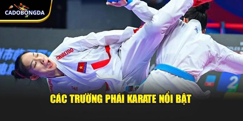 Các trường phái Karate nổi bật