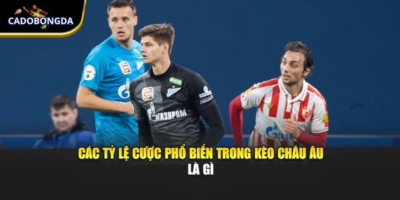                      Các tỷ lệ cược phổ biến trong kèo châu Âu là gì