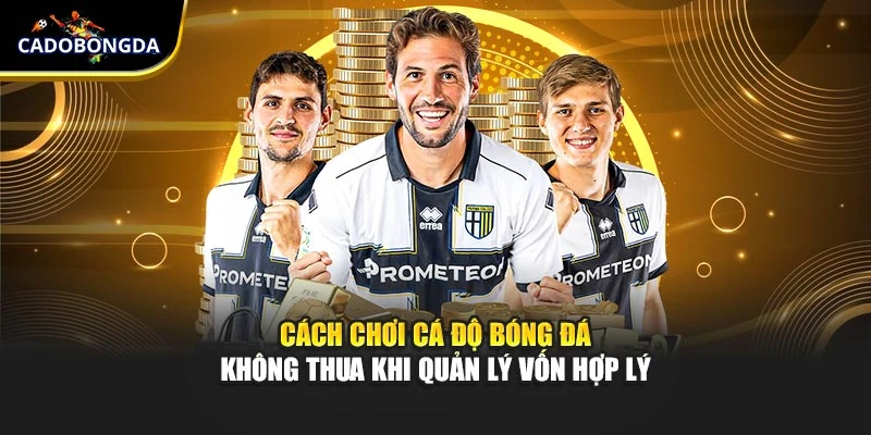 Cách chơi cá độ bóng đá không thua khi quản lý vốn hợp lý
