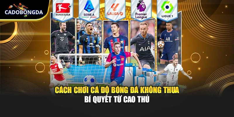 Cách Chơi Cá Độ Bóng Đá Không Thua – Bí Quyết Từ Cao Thủ