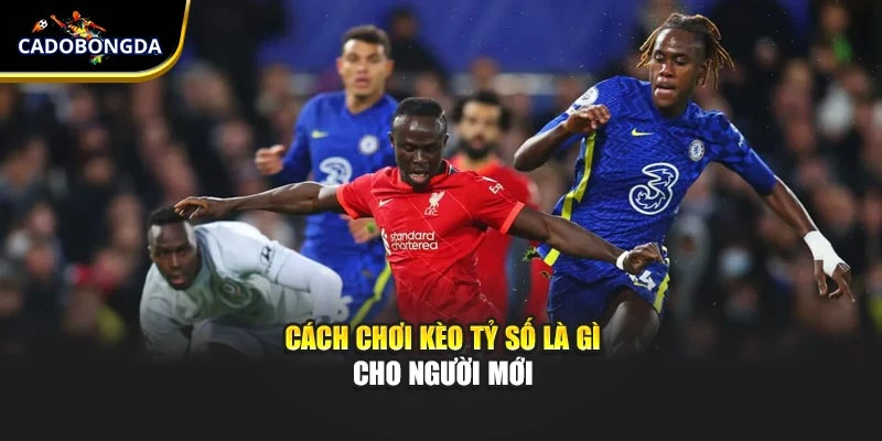 Cách chơi kèo tỷ số là gì cho người mới