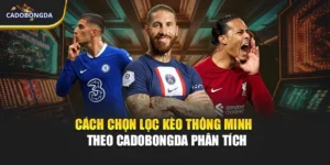 Cách Chọn Lọc Kèo Thông Minh - Theo Cadobongda Phân Tích