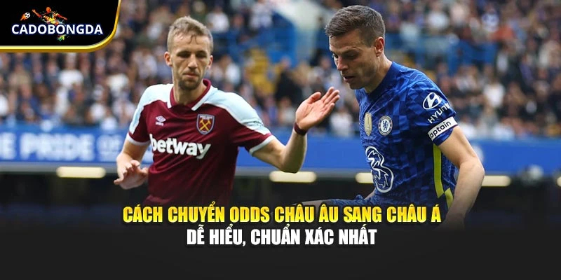 Cách Chuyển Odds Châu Âu Sang Châu Á Dễ Hiểu, Chuẩn Xác Nhất