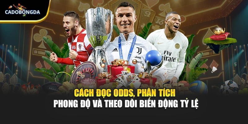Cách đọc odds, phân tích phong độ và theo dõi biến động tỷ lệ