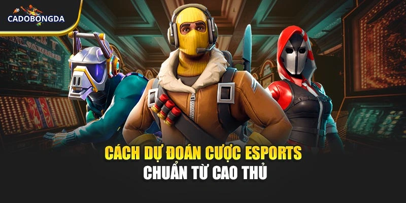 Cách dự đoán cược esports chuẩn từ cao thủ