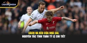 Cách Ra Kèo Của Nhà Cái, Nguyên Tắc Tính Toán Tỷ Lệ Chi Tiết