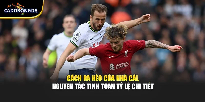 Cách Ra Kèo Của Nhà Cái, Nguyên Tắc Tính Toán Tỷ Lệ Chi Tiết