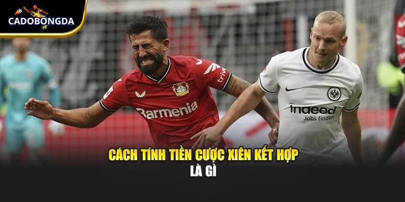                            Cách tính tiền cược xiên kết hợp là gì