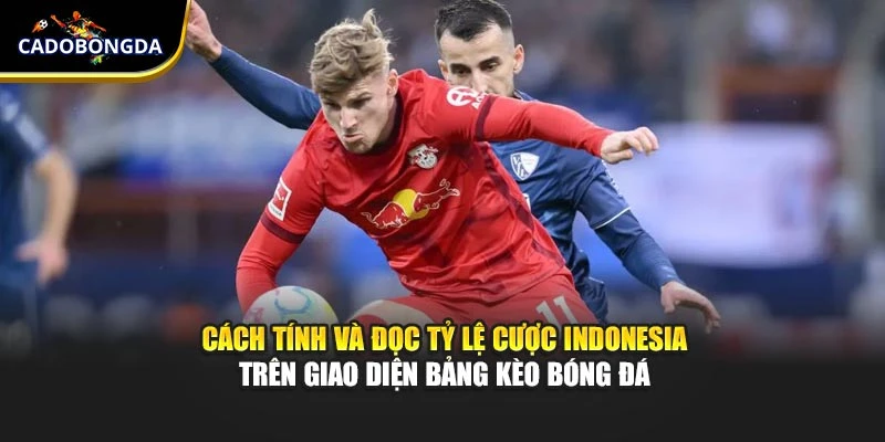 Cách tính và đọc tỷ lệ cược Indonesia trên giao diện bảng kèo bóng đá