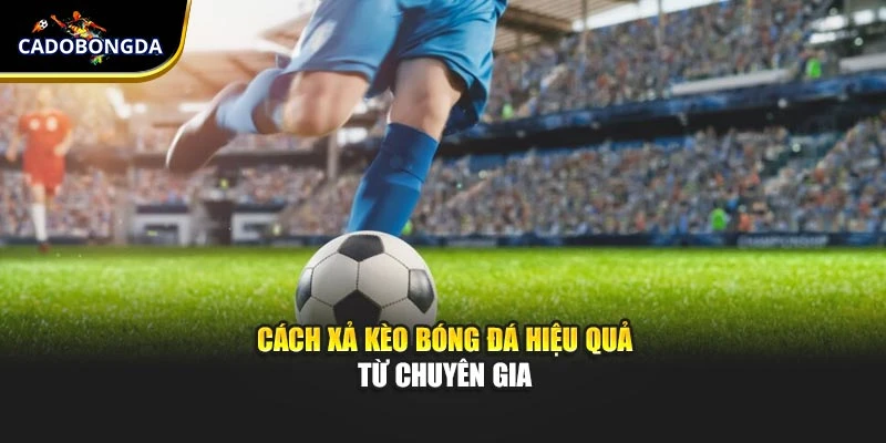 Cách xả kèo bóng đá hiệu quả từ chuyên gia