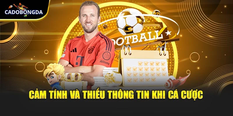 Cảm tính và thiếu thông tin khi cá cược