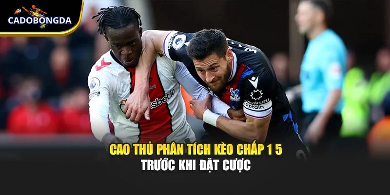Cao thủ phân tích kèo chấp 1 5 trước khi đặt cược