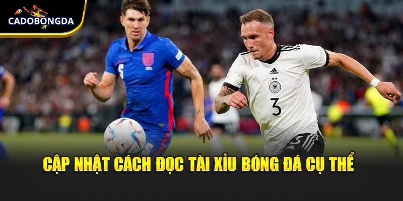 Cập nhật cách đọc tài xỉu bóng đá cụ thể 
