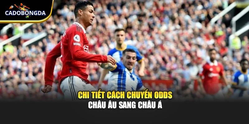 Chi tiết cách chuyển Odds Châu Âu sang Châu Á