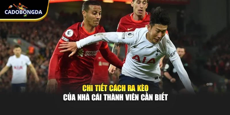 Chi tiết cách ra kèo của nhà cái thành viên cần biết