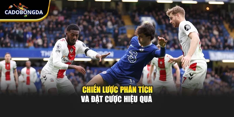 Chiến lược phân tích và đặt cược hiệu quả 