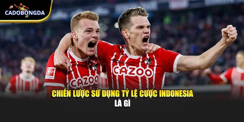 Chiến lược sử dụng tỷ lệ cược Indonesia là gì