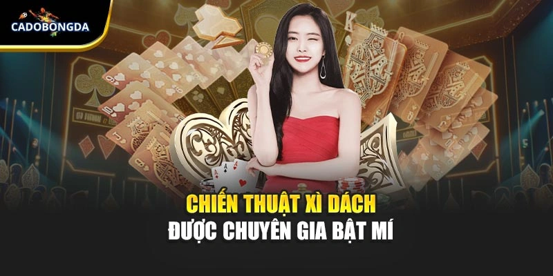 Chiến thuật xì dách được chuyên gia bật mí