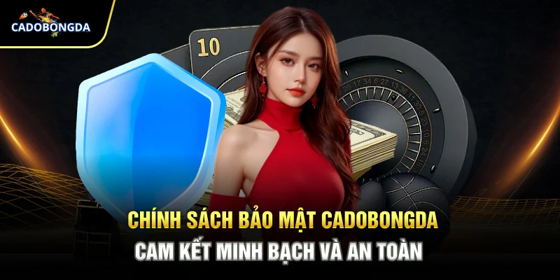 Chính sách bảo mật Cadobongda cam kết dữ liệu an toàn