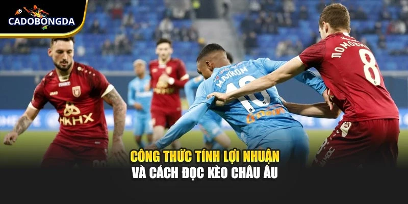                              Công thức tính lợi nhuận và cách đọc kèo châu Âu