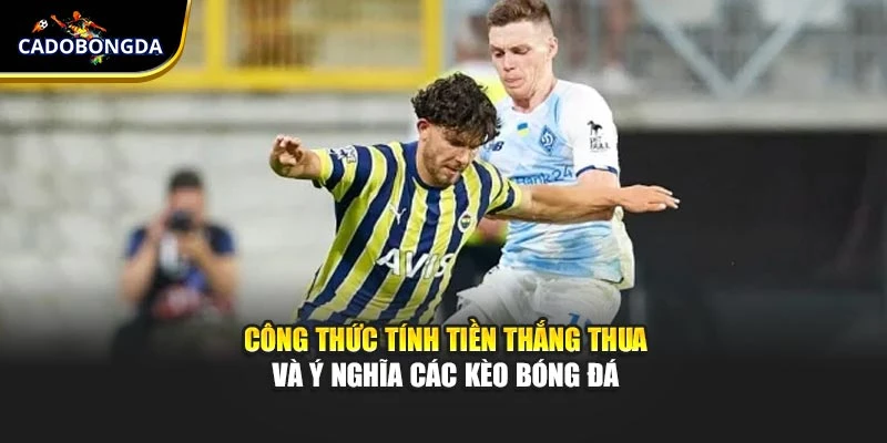 Công thức tính tiền thắng thua và ý nghĩa các kèo bóng đá