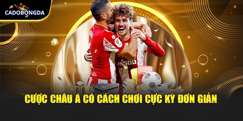 Cược châu Á có cách chơi cực kỳ đơn giản