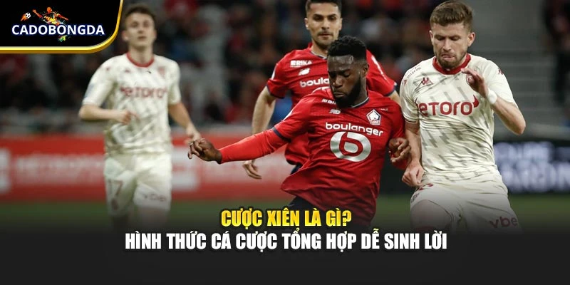 Cược Xiên Là Gì? Hình Thức Cá Cược Tổng Hợp Dễ Sinh Lời