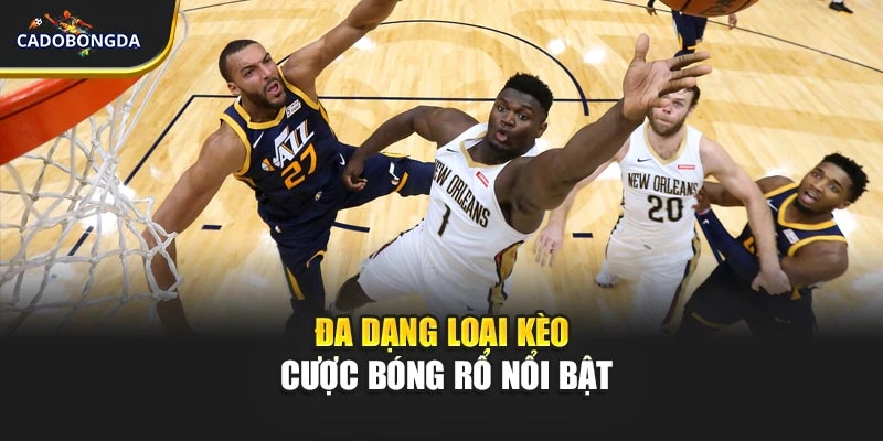 Đa dạng loại kèo cược bóng rổ nổi bật