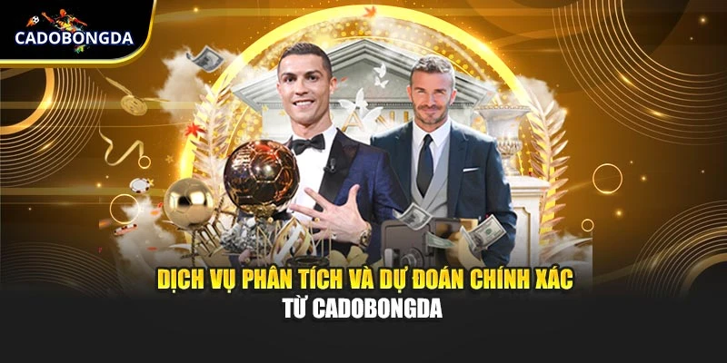 Dịch vụ phân tích và dự đoán chính xác từ Cadobongda 