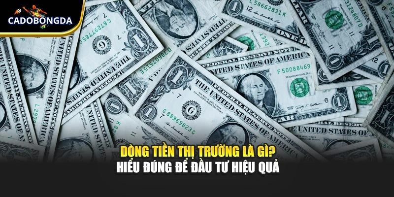 Dòng Tiền Thị Trường Là Gì? Hiểu Đúng Để Đầu Tư Hiệu Quả